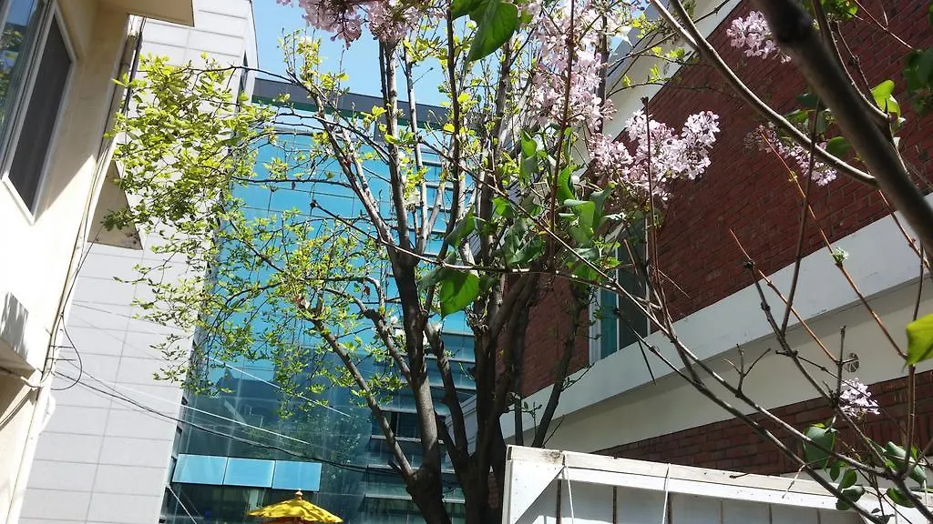 Hongdae Style Guesthouse Seoul South Korea